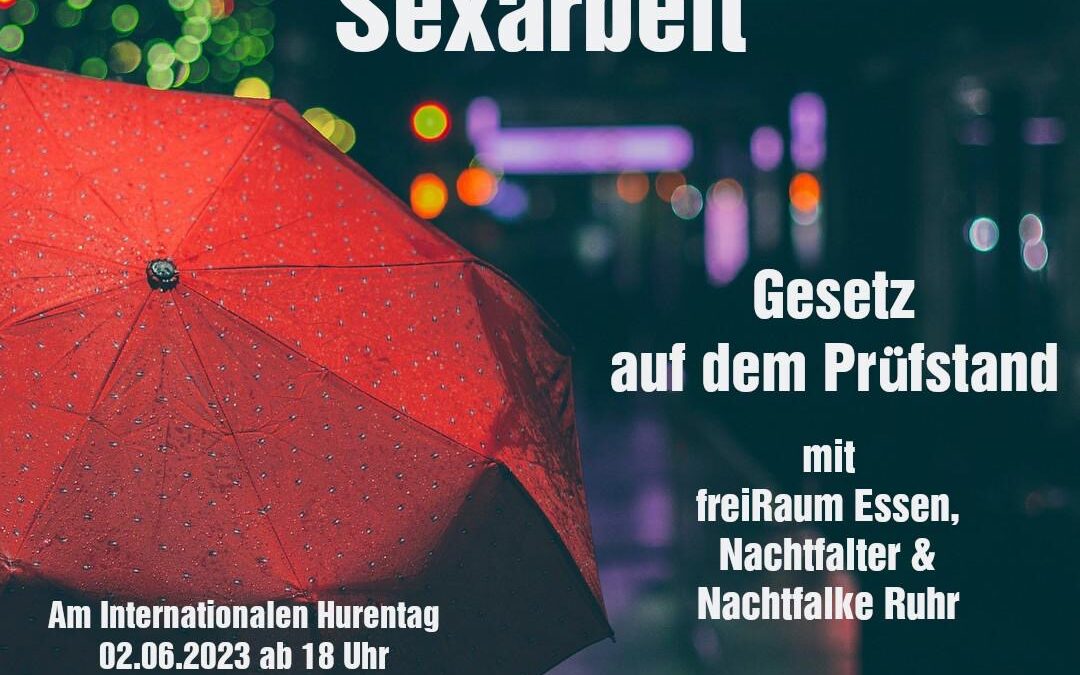 Pressemitteilung vom 29.05.23: ,,Linke im Dialog“ zum Thema Sexarbeit